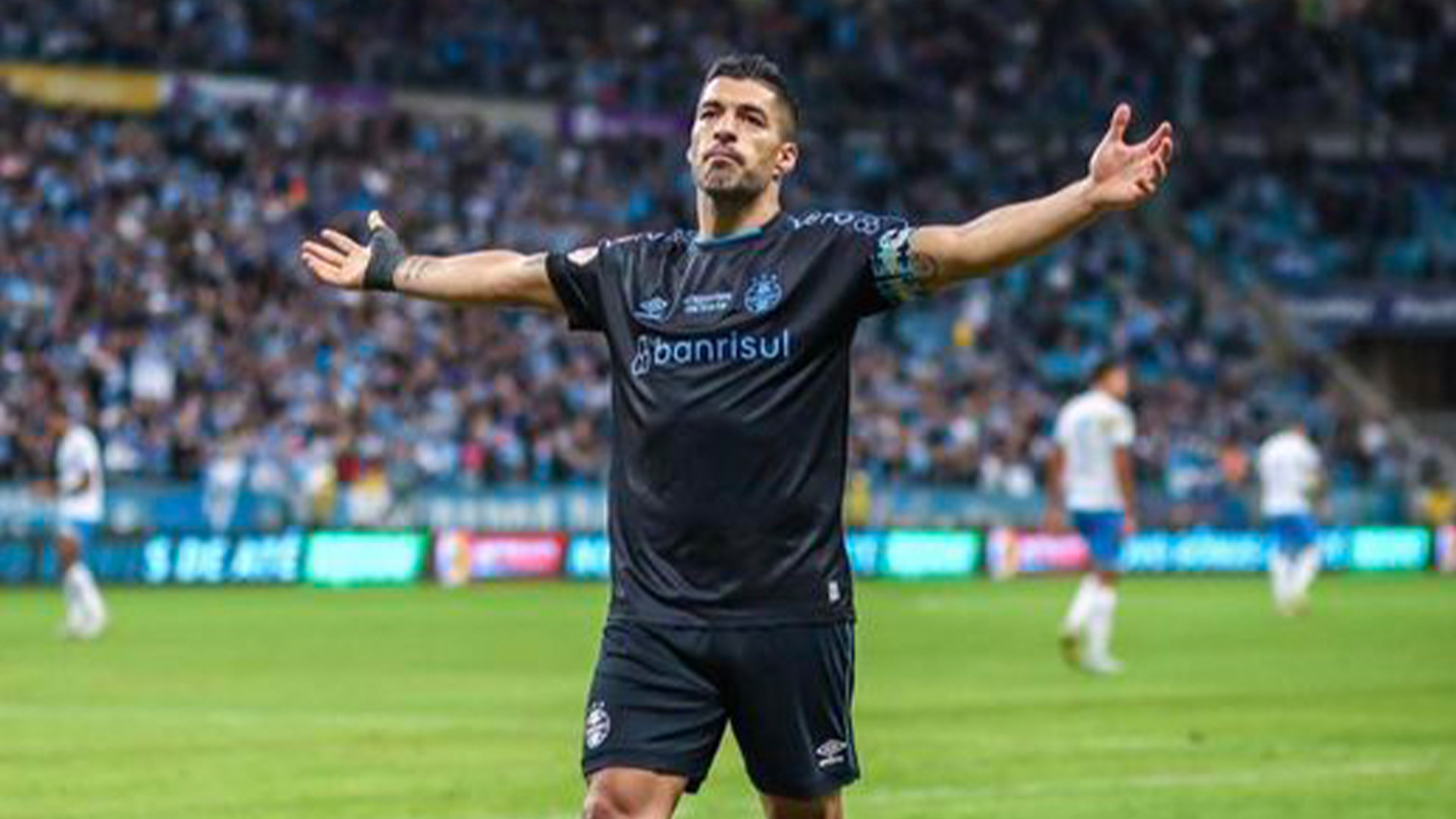 wolf246.co Luis Suárez