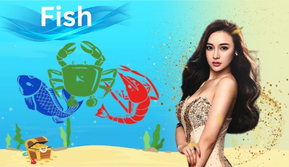 wolf246.co Live Casino