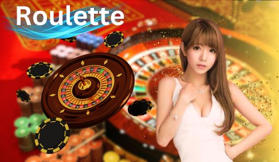 wolf246.co Live Casino