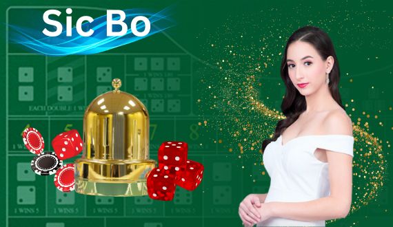 wolf246.co Live Casino