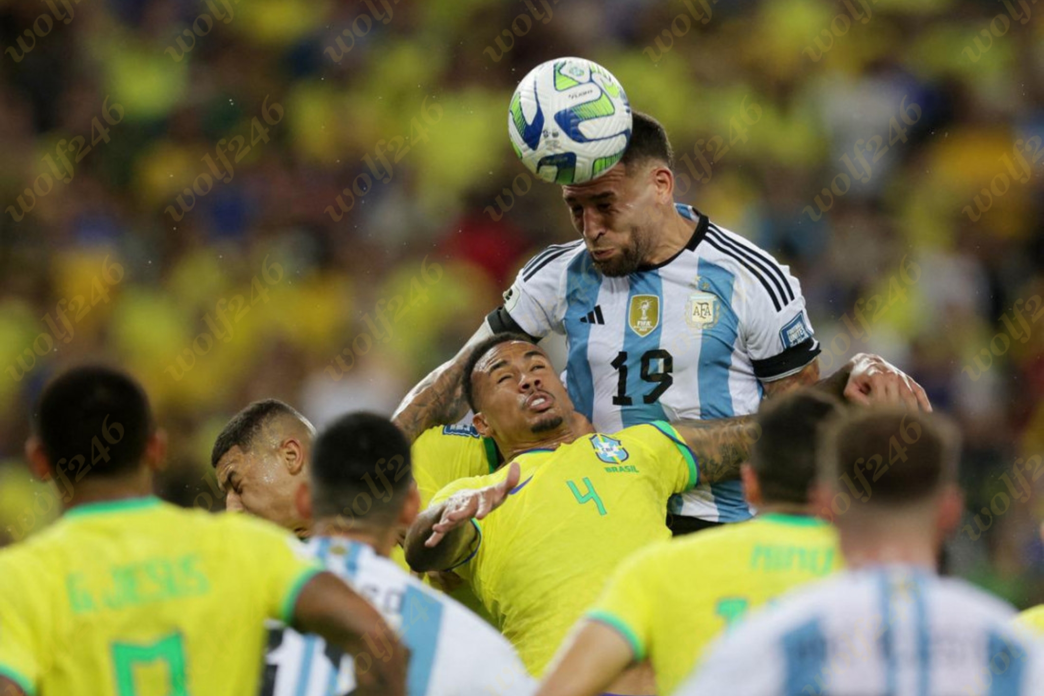 wolf246.co ប្រេស៊ីល​ស្គាល់​រសជាតិ​ចាញ់​ជា​លើក​ដំបូង​ក្នុង​ដី​របស់​ខ្លួន​ ក្នុង​វគ្គ​ជម្រុះ​ World Cup ក្រោយ​ចាញ់​អាហ្សង់ទីន