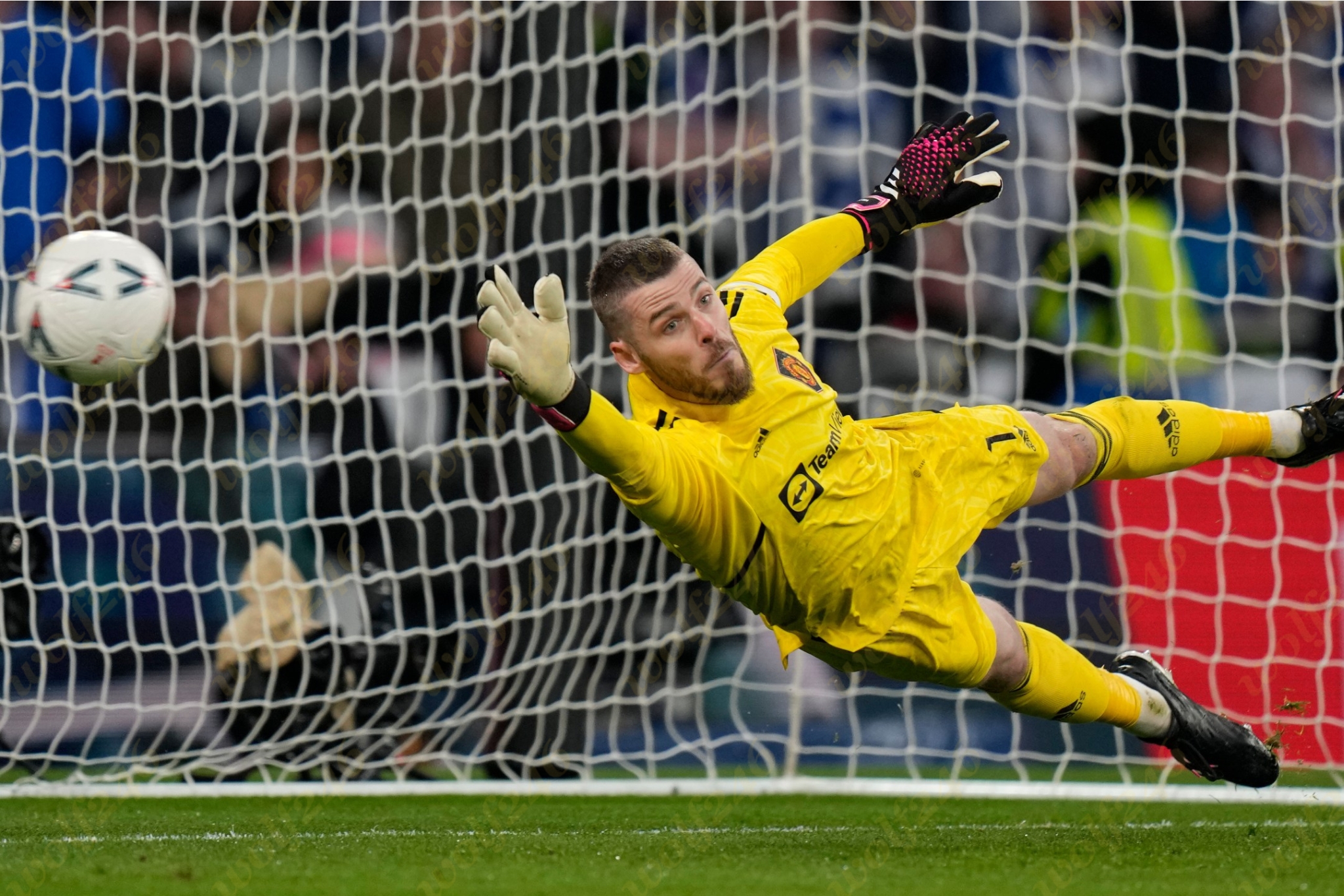 wolf246.co ក្លឹប Newcastle បានចាប់​អារម្មណ៍​លើអ្នកចាំទី​ David de Gea ពីក្លឹប Man Utd