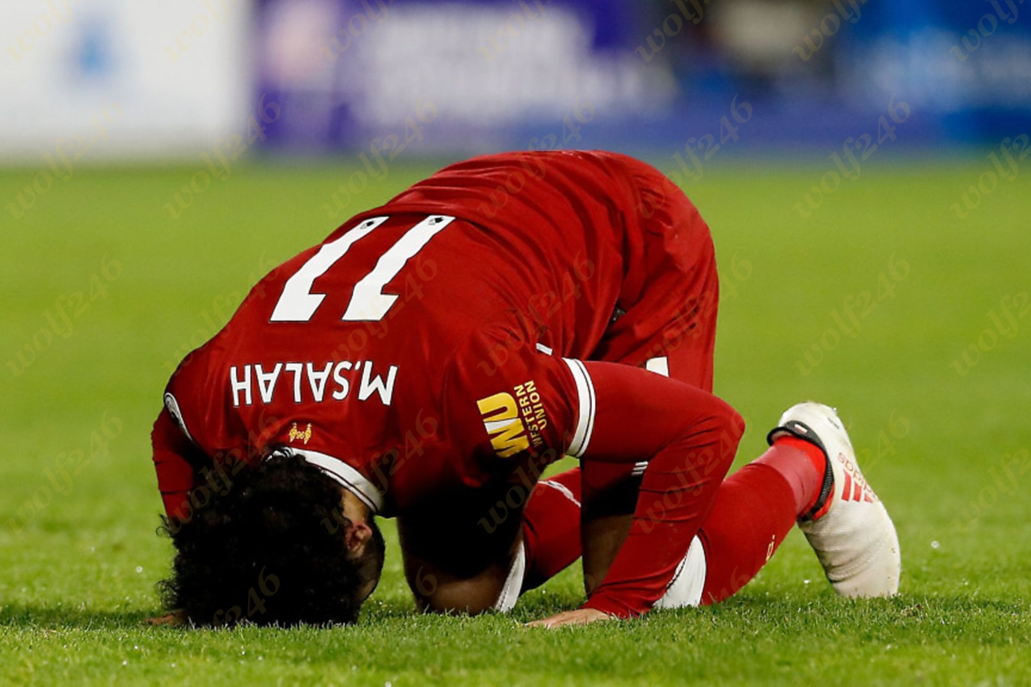 wolf246.co Salah អាចវិលត្រឡប់ទៅជួយជម្រើសជាតិ អេហ្ស៊ីប វិញ ប្រសិនបើរឿងមួយនេះកើតឡើងទាន់ពេល