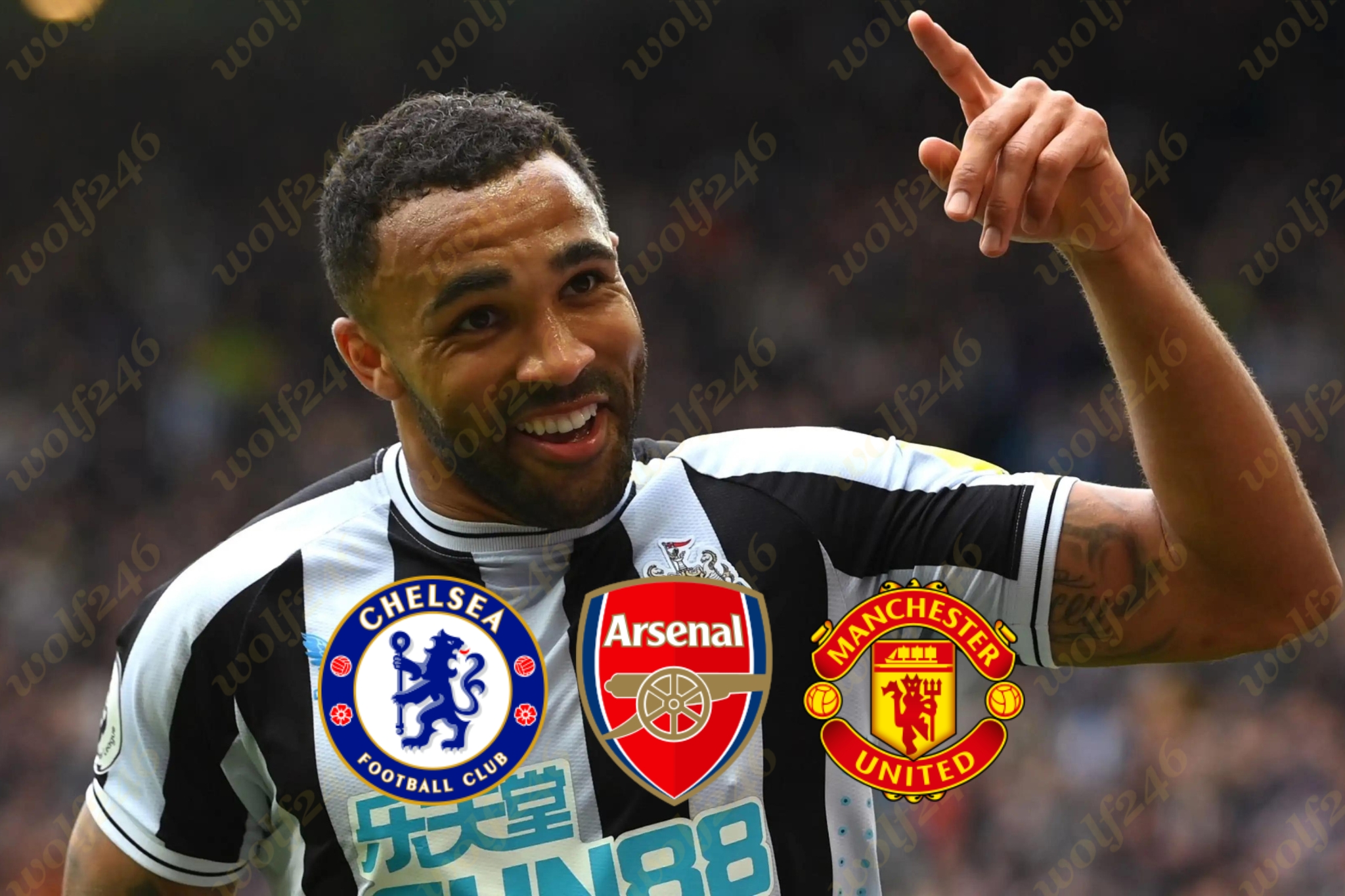 wolf246.co ខ្សែប្រយុទ្ធ Callum Wilson របស់ក្លឹប Newcastle United ត្រូវបានក្លឹបធំៗចំនួន3 ប្រជែងចង់បាន