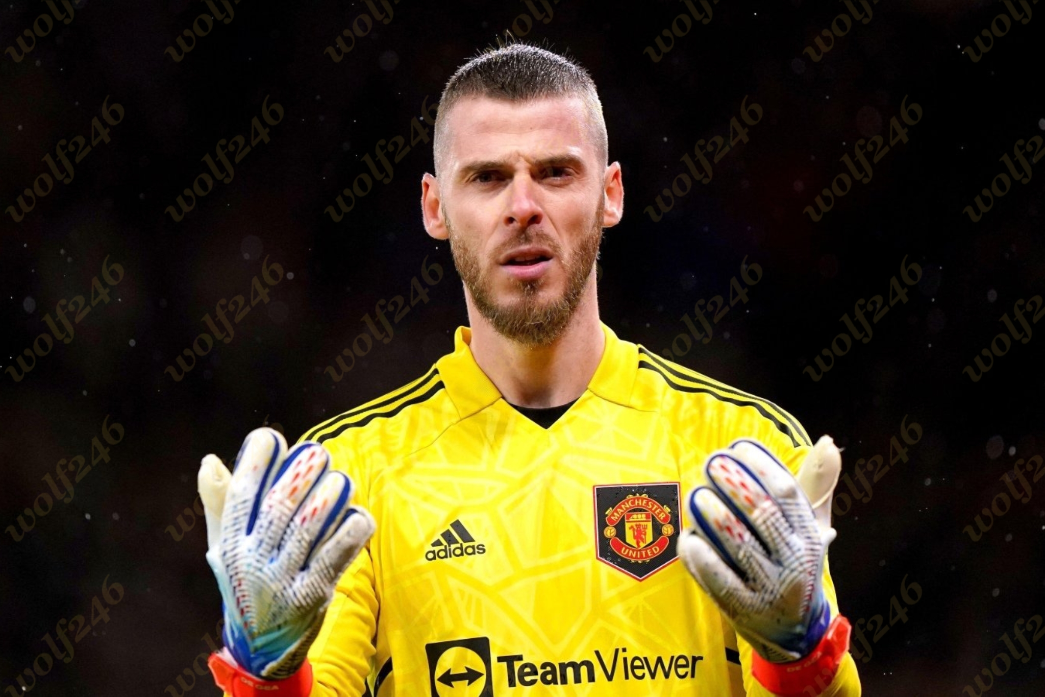 wolf246.co អ្នកចាំទី David de Gea ត្រូវ​បាន​ក្លឹប​មួយនេះទាក់ទងចង់បាន តែ​គេបាន​បដិសេធ