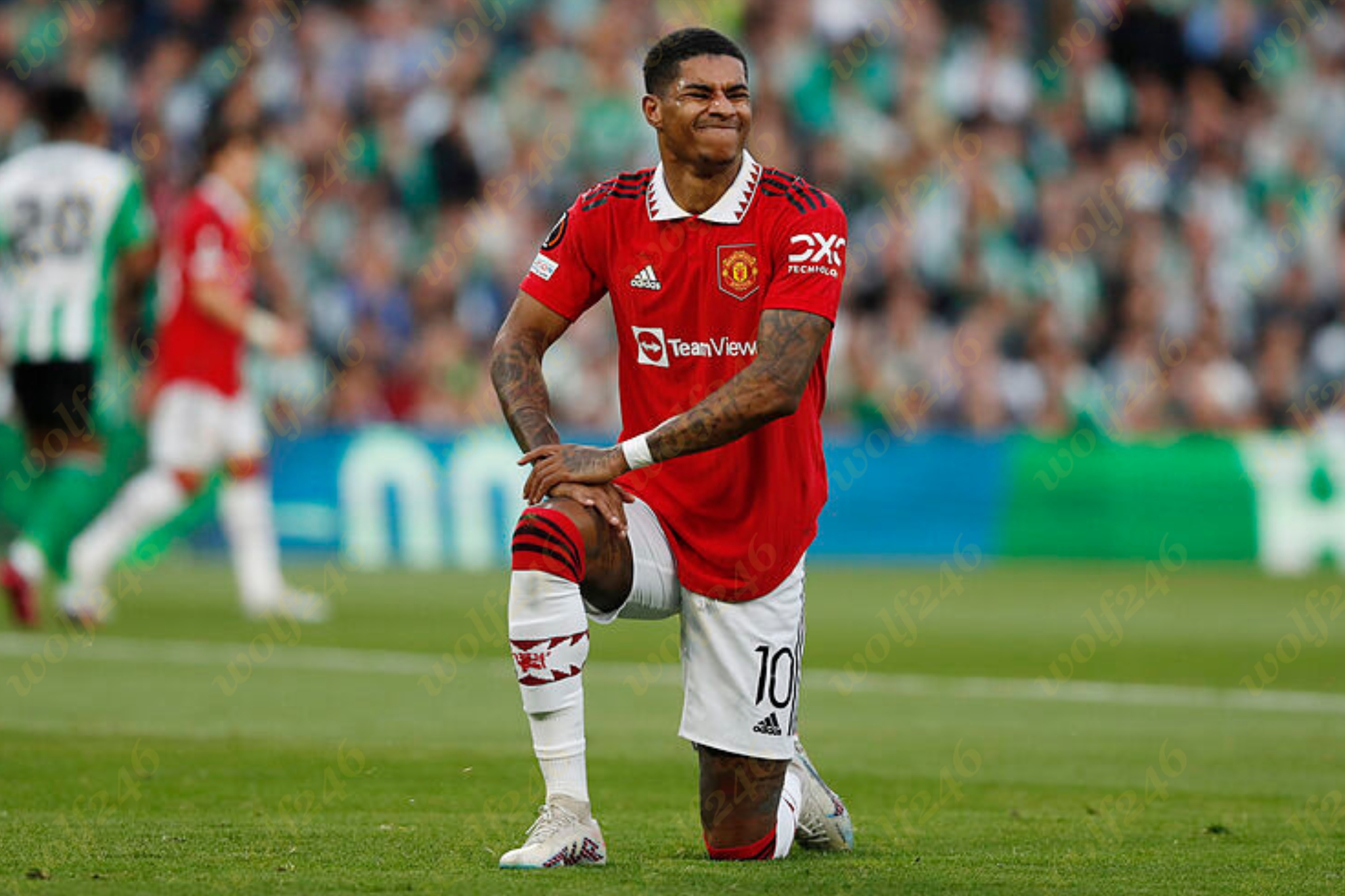 wolf246.co ខ្សែប្រយុទ្ធ Marcus Rashford នឹងសោកស្តាយ បើសិនមិនប្តូរឥរិយាបទខ្លួនដូចសព្វថ្ងៃនេះ