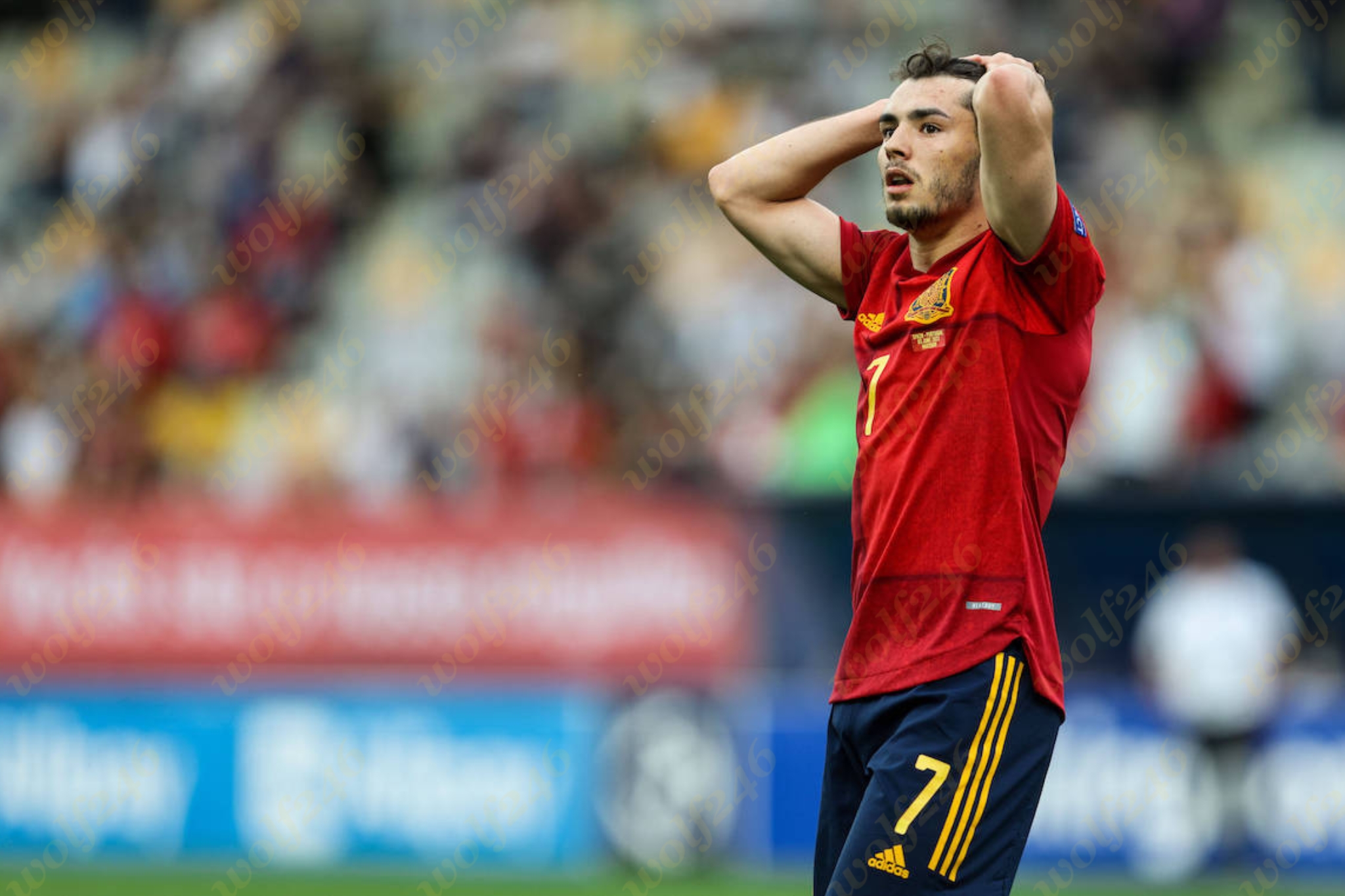 wolf246.co Diaz បញ្ជាក់ច្បាស់ៗថា៖ “ខ្ញុំ​មាន​មោទកភាព​និង​ចង់​ឈ្នះ​ពាន​រង្វាន់​ជាមួយ​ម៉ារ៉ុកណាស់”