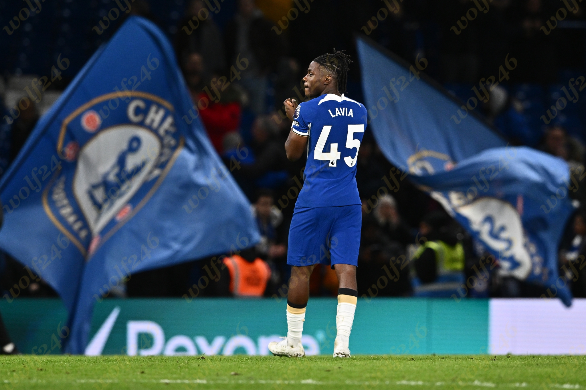 wolf246.co Lavia របស់ Chelsea ត្រូវអវត្តមានសម្រាប់រដូវកាលនេះដោយសាររបួសសរសៃពួរ