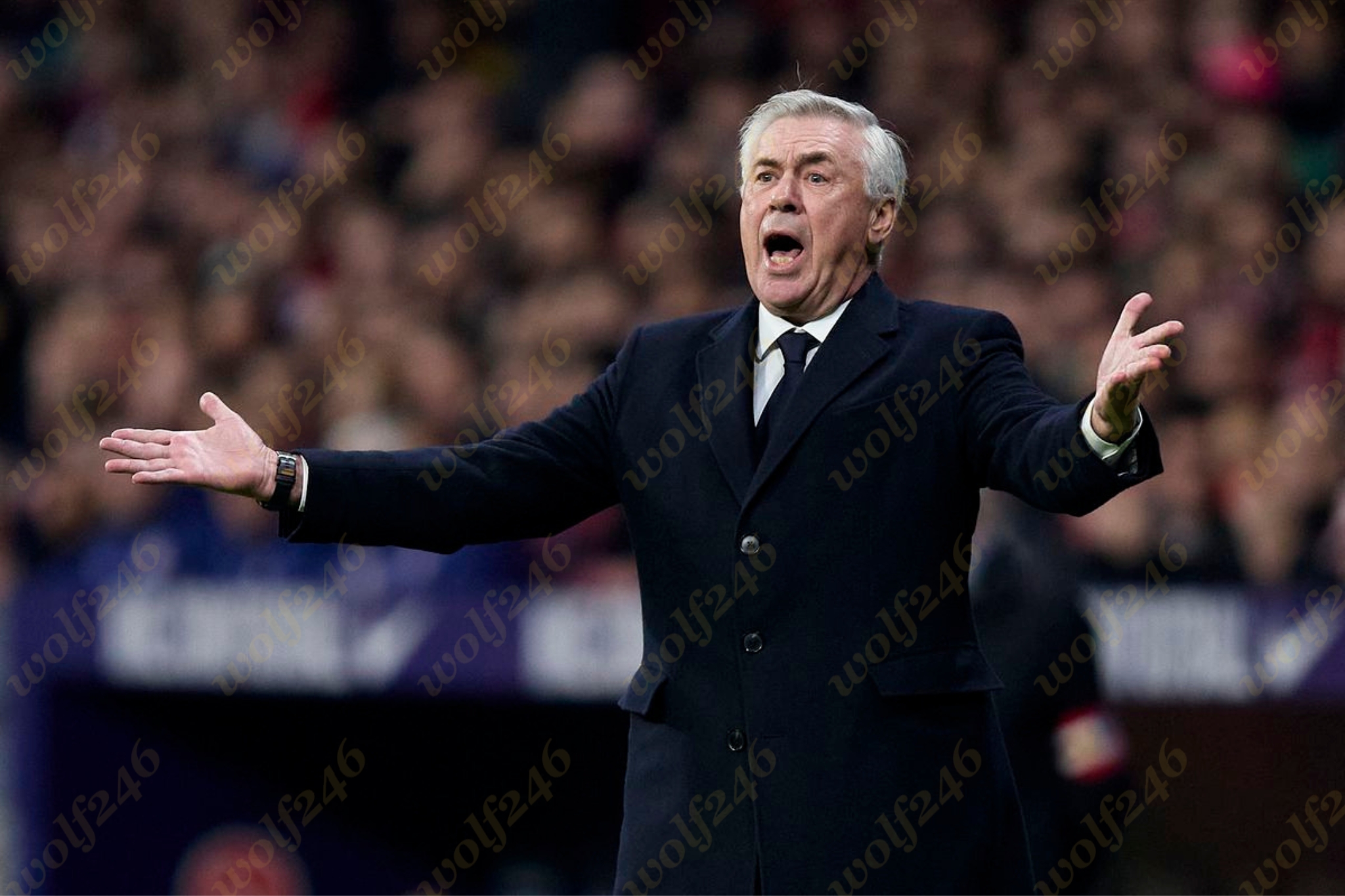 wolf246.co រដ្ឋអាជ្ញាអេស្ប៉ាញស្វែងរកការដាក់ពន្ធនាគារលោក Carlo Ancelotti ករណីមិនបង់ពន្ធជាង ១លានអឺរ៉ូ