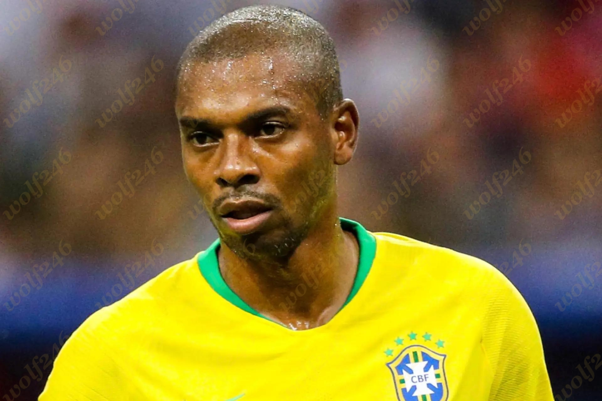 wolf246.co Fernandinho ទស្សន៍ទាយ​អនាគត​ដឹកនាំ​ជម្រើស​ជាតិ​របស់ Pep Guardiola