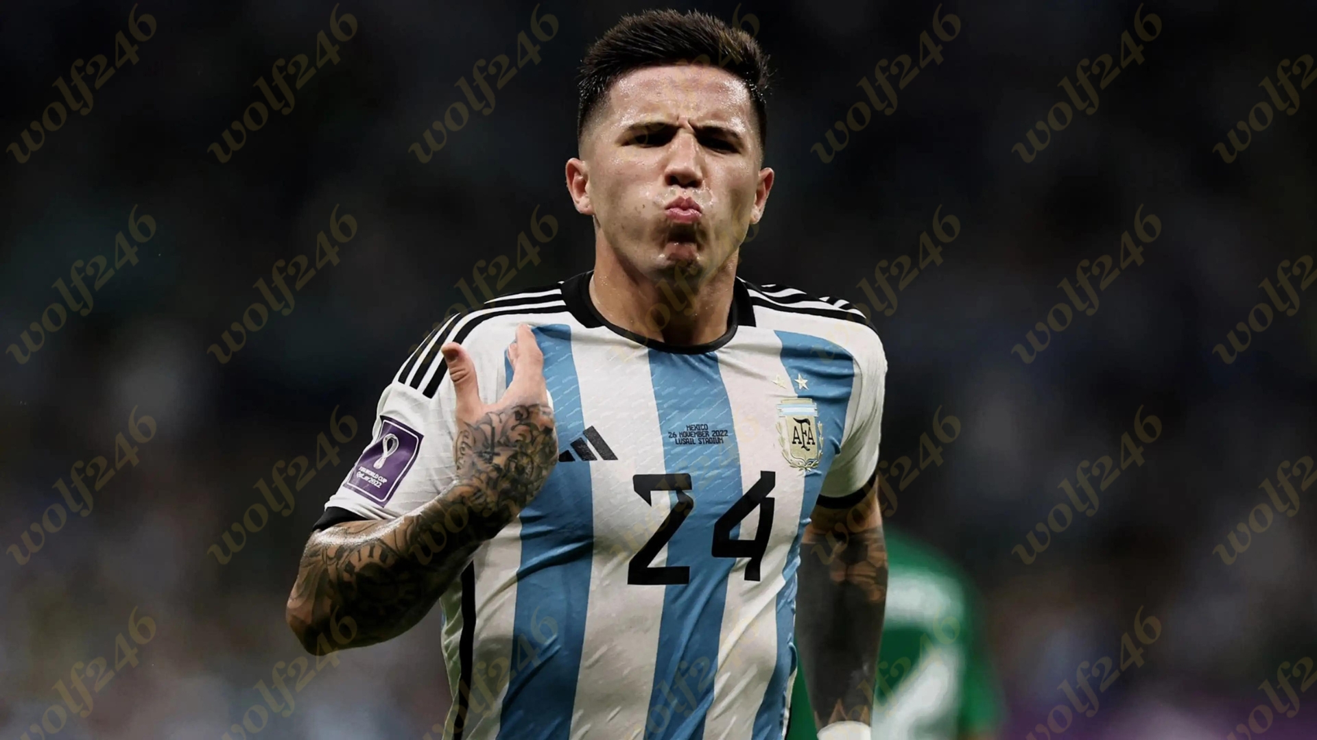 wolf246.co Enzo Fernandez និយាយថាការលេងនៅ Chelsea មិនទាន់ល្អដូចលេងនៅ World Cup នៅឡើយទេ