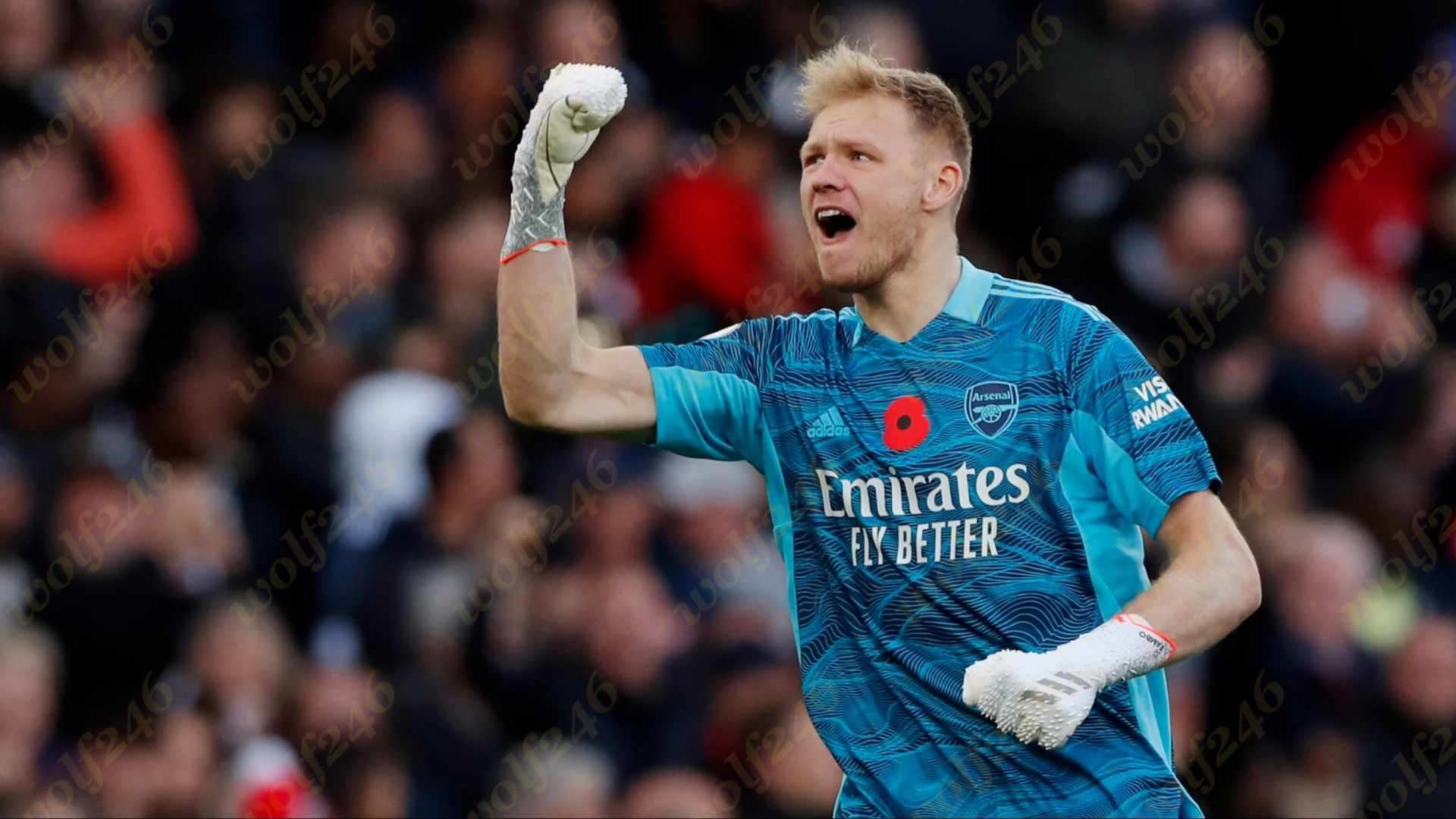 wolf246.co Arsenal កំណត់តម្លៃខ្លួនប្រមាណ ៦០លានផោន សម្រាប់ Ramsdale នៅទីផ្សារខាងមុខ