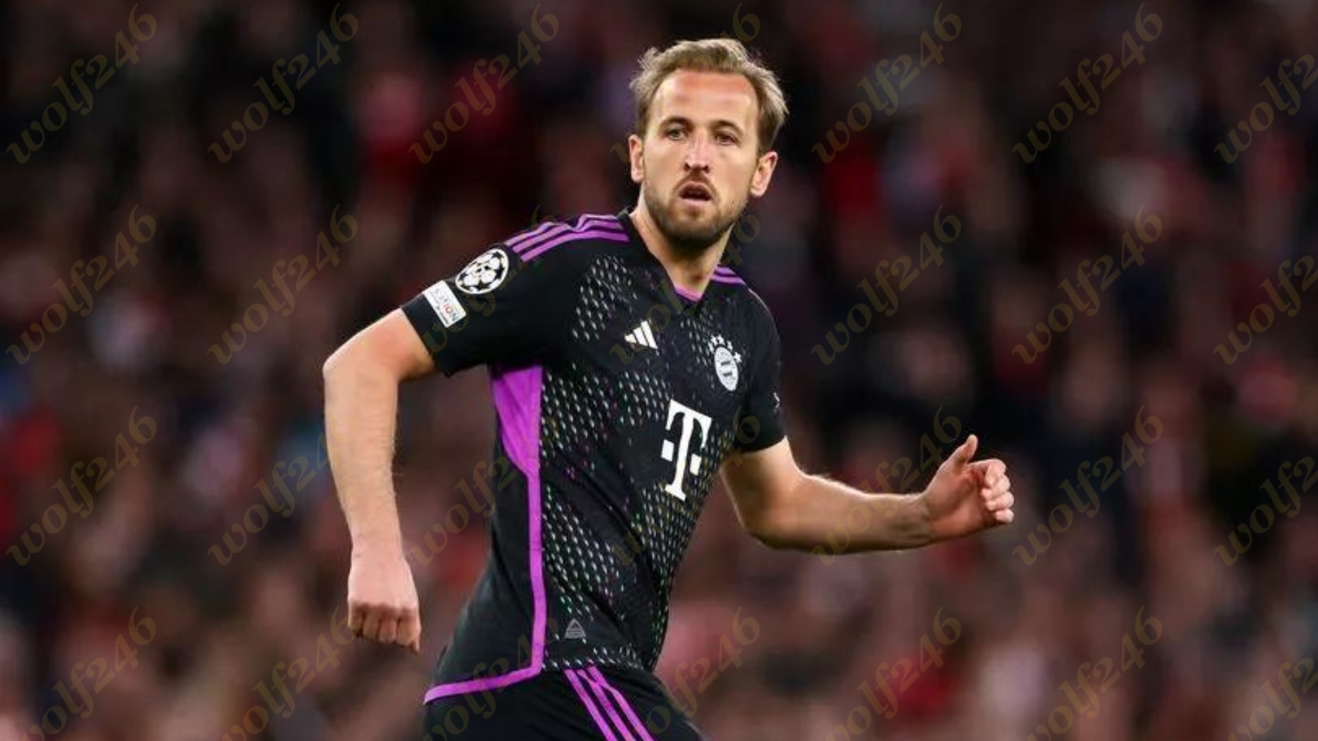 wolf246.co Harry Kane ត្រៀមទទួលប្រាក់រង្វាន់យ៉ាងច្រើន បន្ទាប់ពីបំពេញនូវលក្ខខណ្ឌមួយនេះ ជាមួយ Bayern Munich