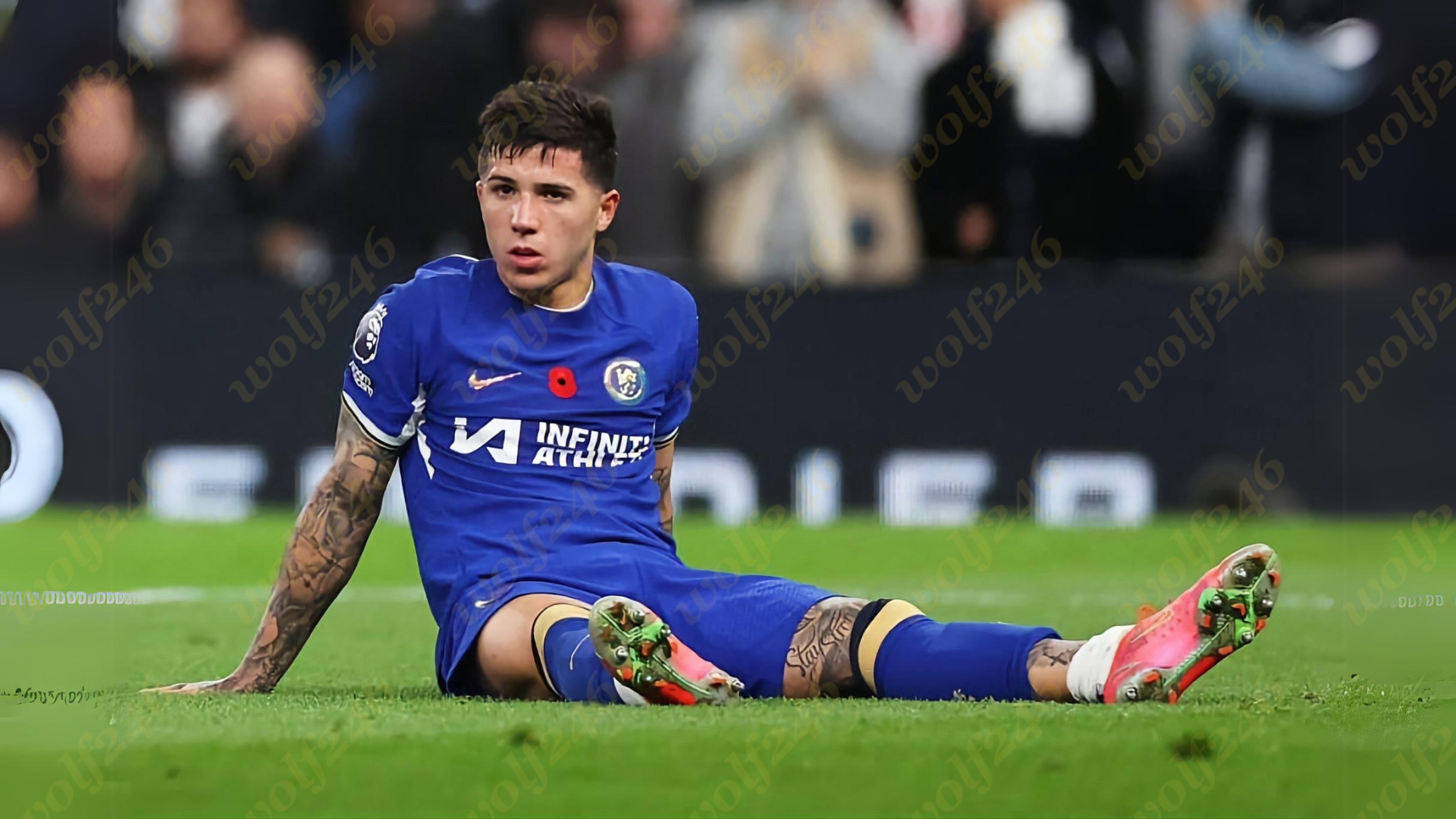 wolf246.co Enzo តារាឆ្នើមរបស់ Chelsea នឹងអវត្តមាន​ពេញ​មួយ​រដូវ​កាល​ បន្ទាប់ពីទទួលការវះកាត់លើបញ្ហាក្រលៀន