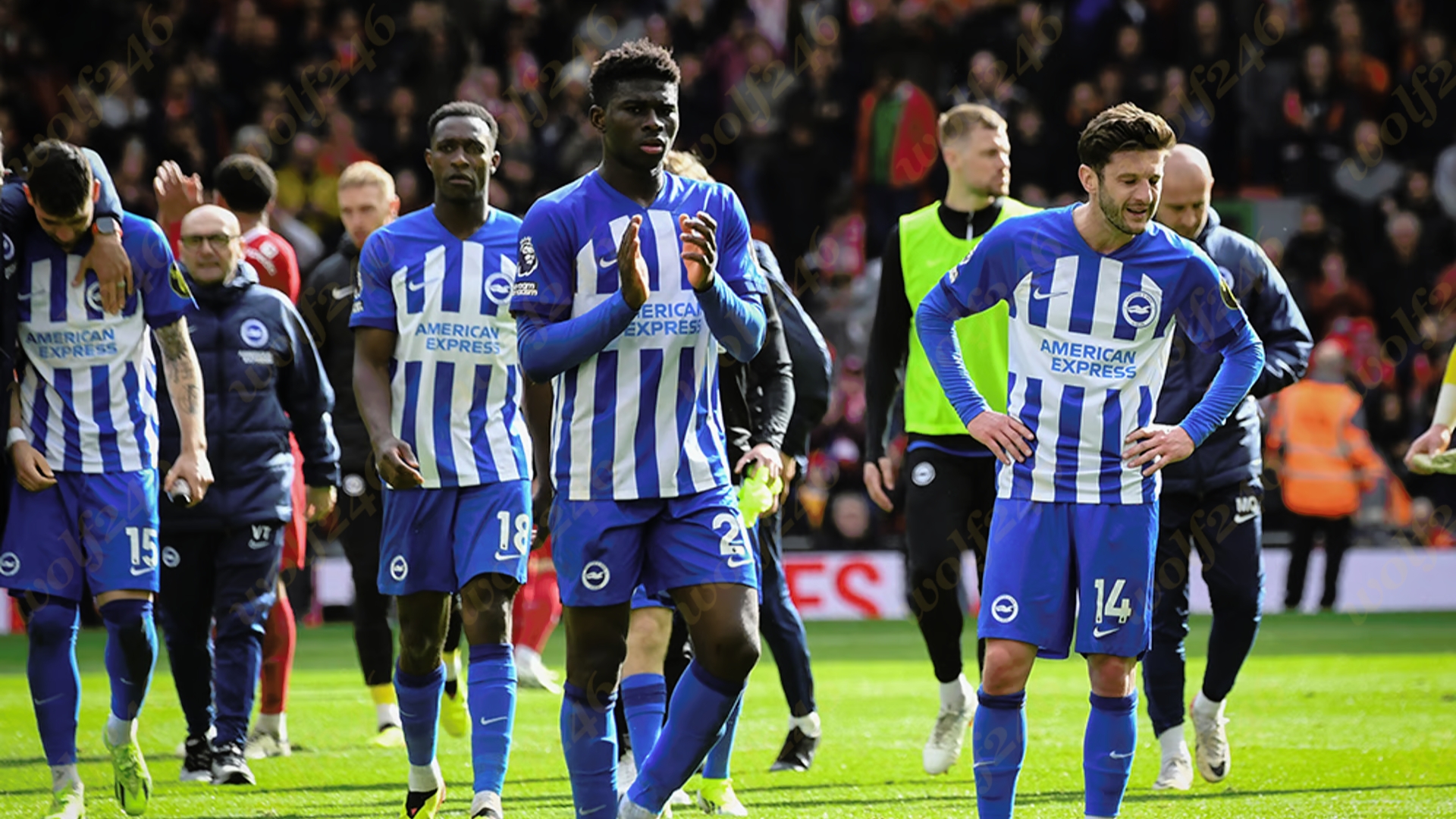 wolf246.co Brighton ប្រកាសពីប្រាក់ចំណេញខ្ពស់បំផុត សម្រាប់រដូវកាលដ៏ជោគជ័យក្នុងប្រវត្តិសាស្ត្ររបស់ក្លិប