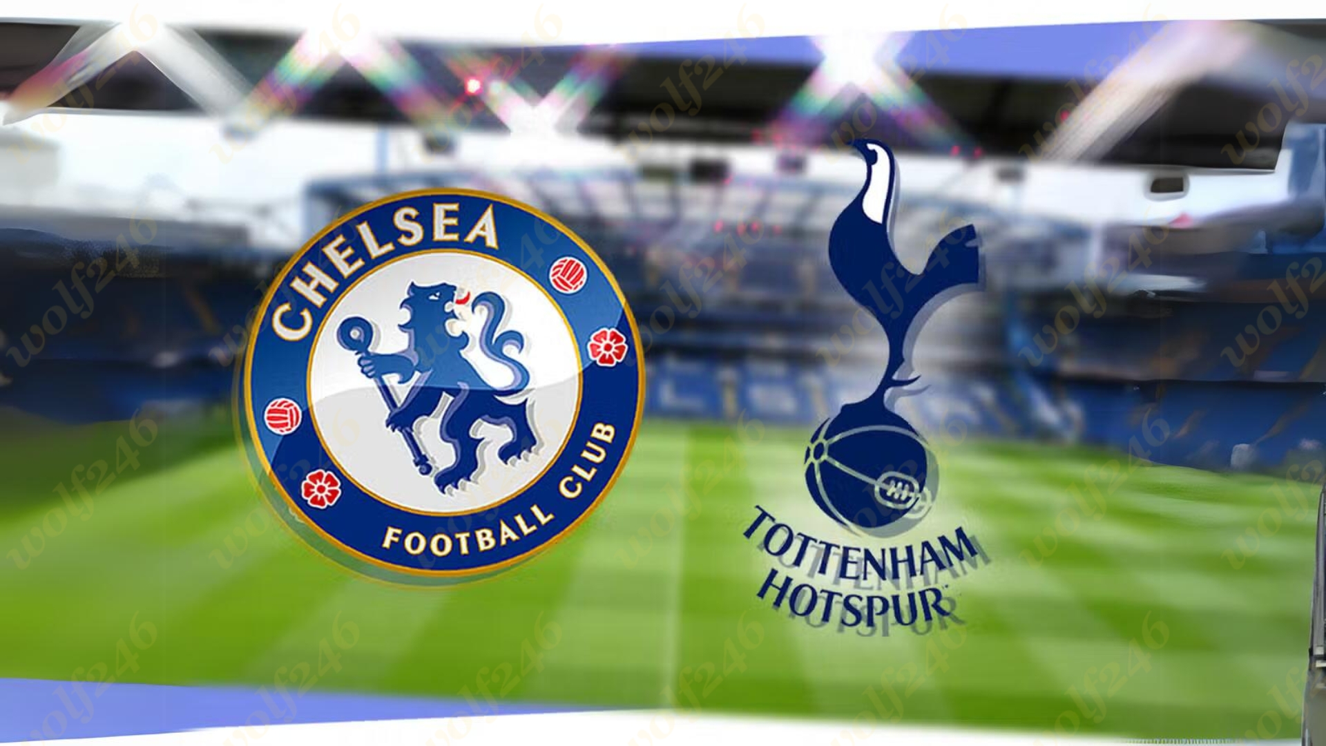 wolf246.co តោខៀវ Chelsea ត្រៀមទទួលស្វាគមន៏មាន់ខ្នាយមាស Tottenham នៅការប្រកួត EPL យប់នេះ