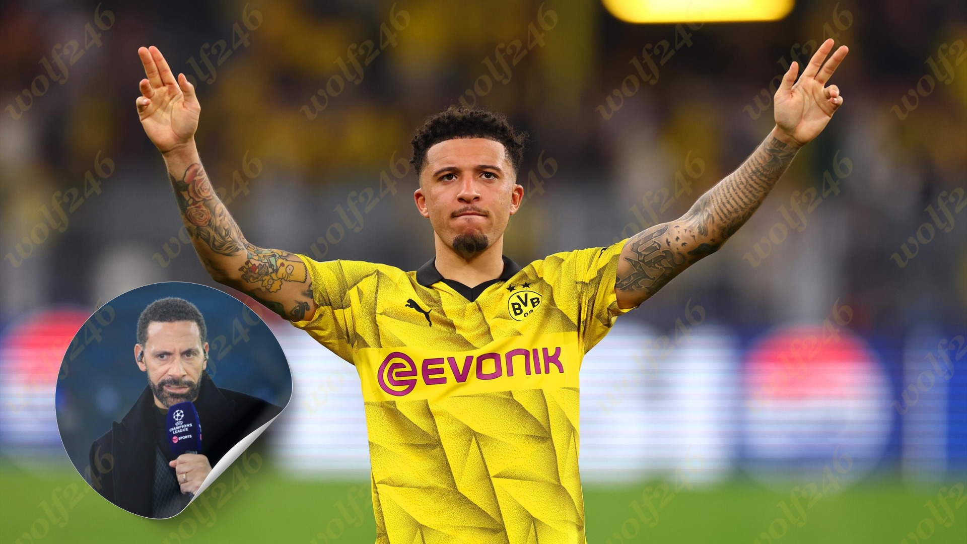 wolf246.co Ferdinand ថាមានតែផ្លូវមួយនេះគត់ ដែលបីសាចក្រហមអាចទាក់ចិត្តឱ្យ Sancho ត្រឡប់មកវិញ